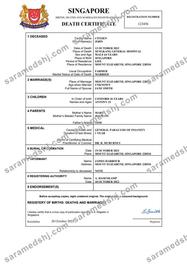 Singapore vital record death certificate Word and PDF template